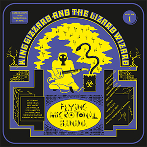 Flying Microtonal Banana